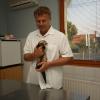 Balaton-Vet Állatorvosi rendelő - Vizsgálat alatt